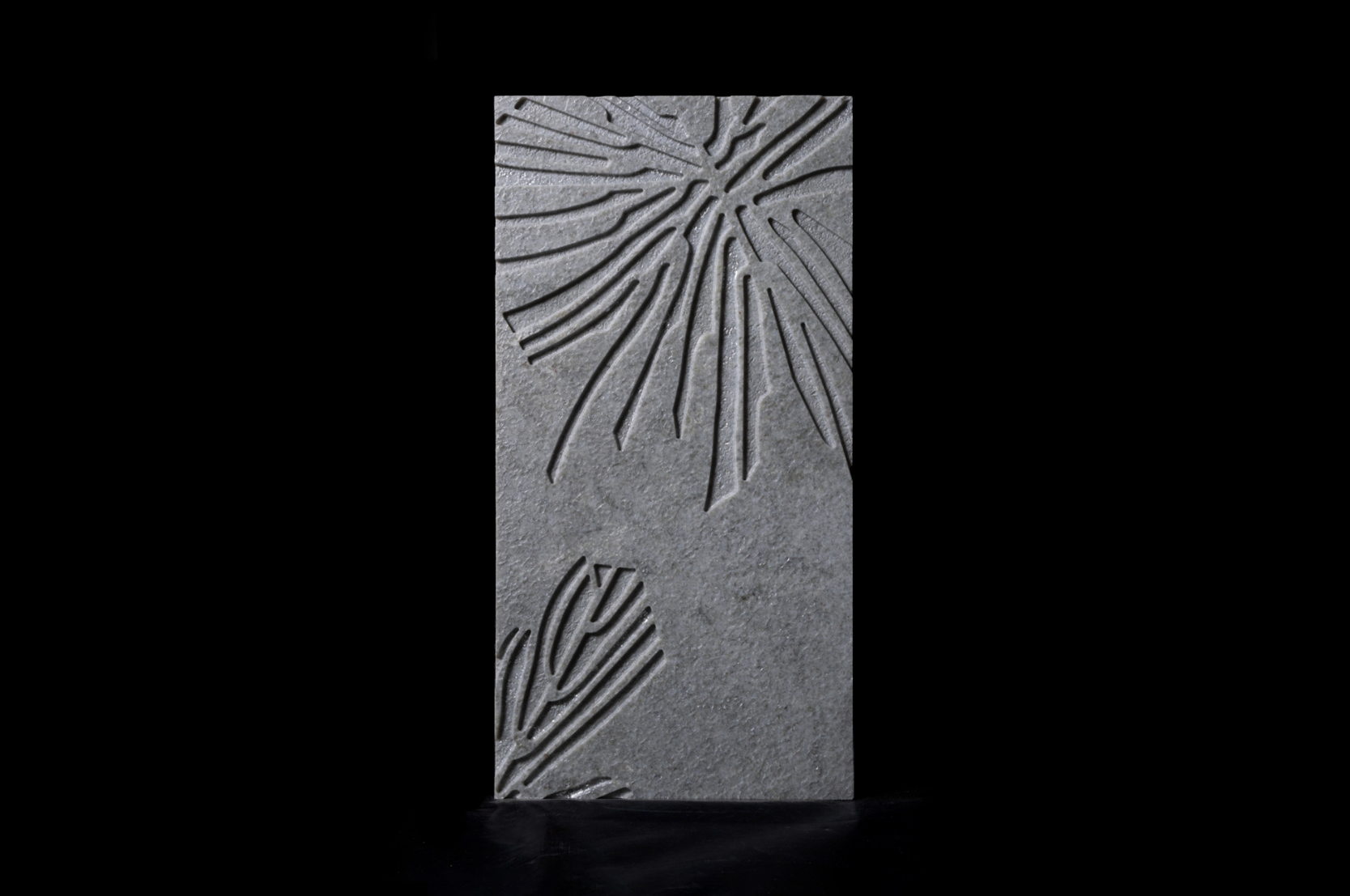 XYLEM