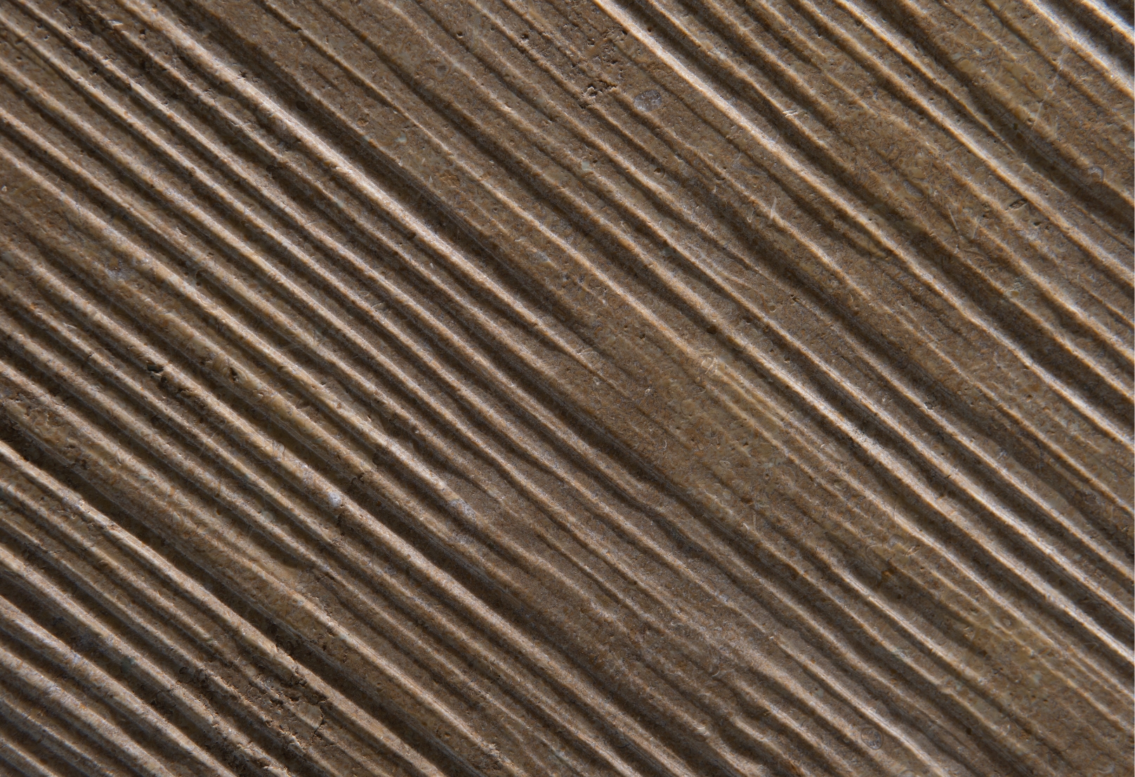 MOIRE - Image 11