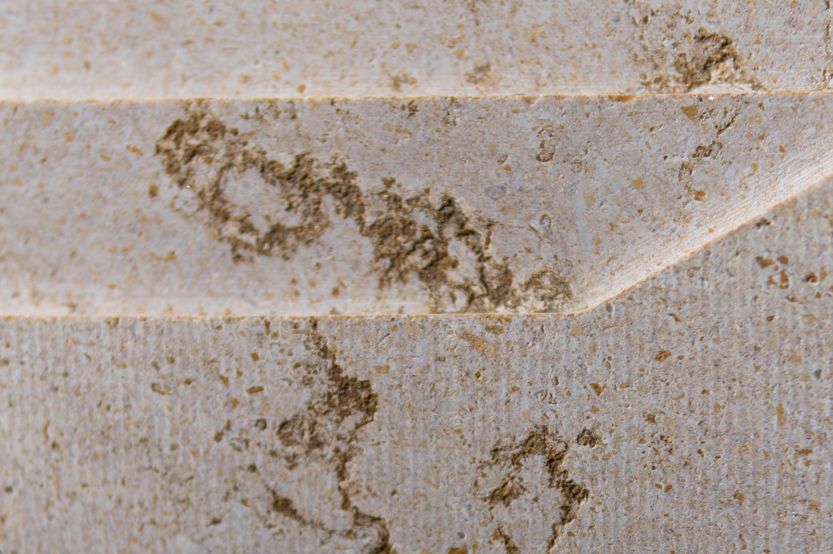 TWIG - Image 6