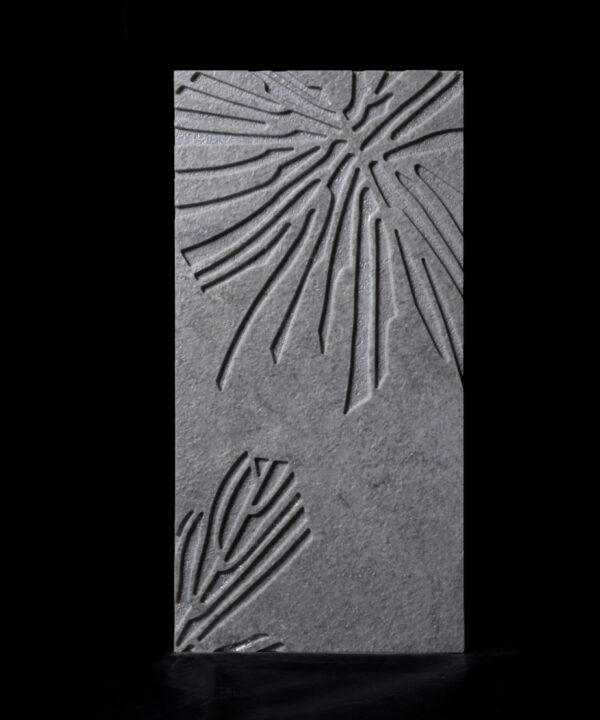 XYLEM
