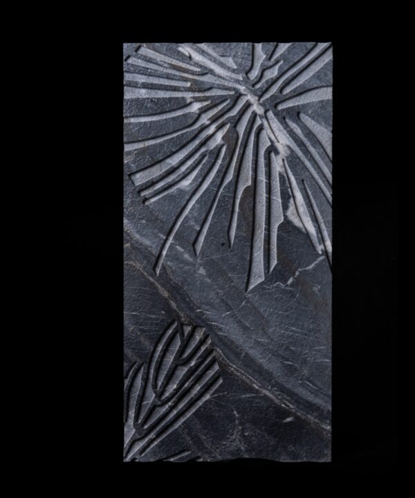 XYLEM