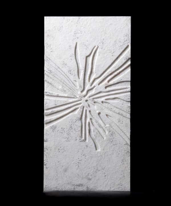 XYLEM