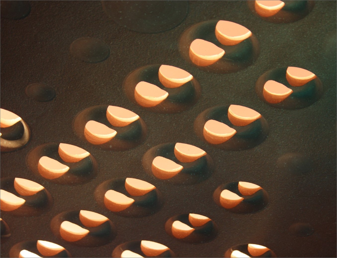 Borrowed Earth Collaborative Project Scoop- Architectural Facade