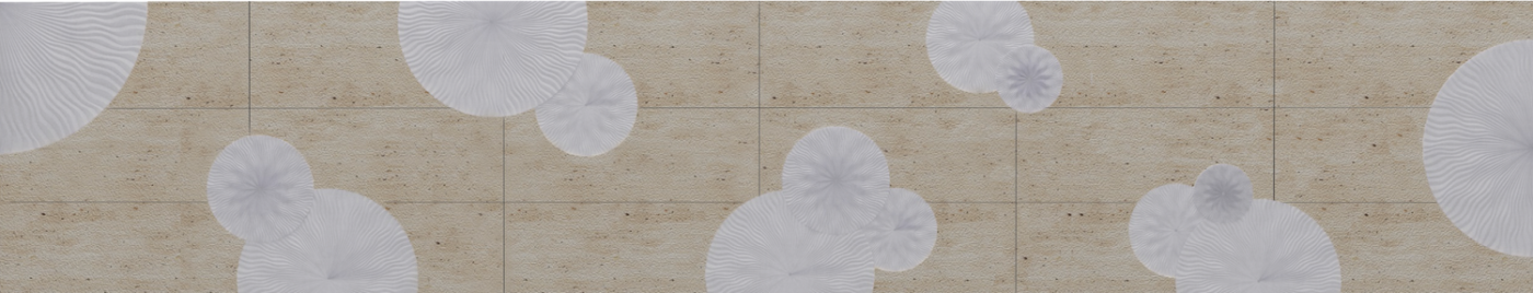 Borrowed Earth Collaborative Project PURITSU, NCD 301- Architecture + Landscape