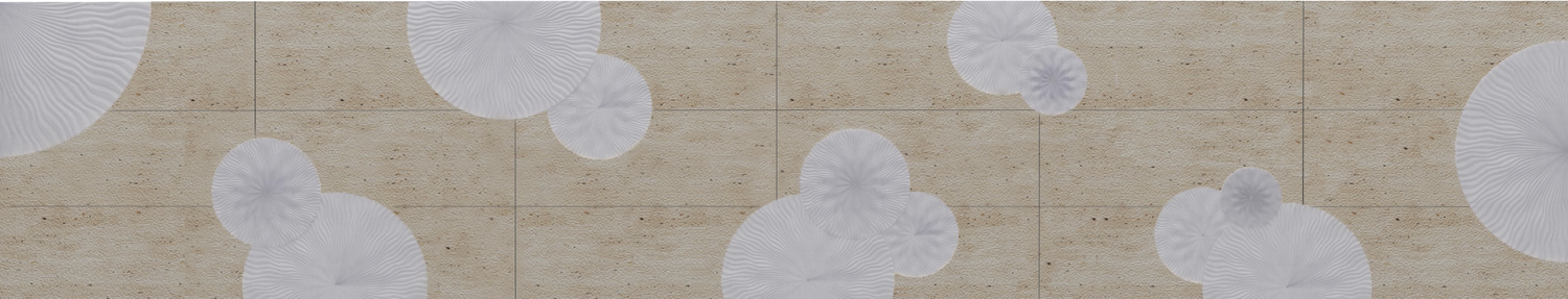 Borrowed Earth Collaborative Project PURITSU, NCD 301- Architecture + Landscape
