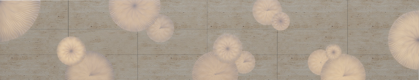 Borrowed Earth Collaborative Project PURITSU, NCD 301- Architecture + Landscape