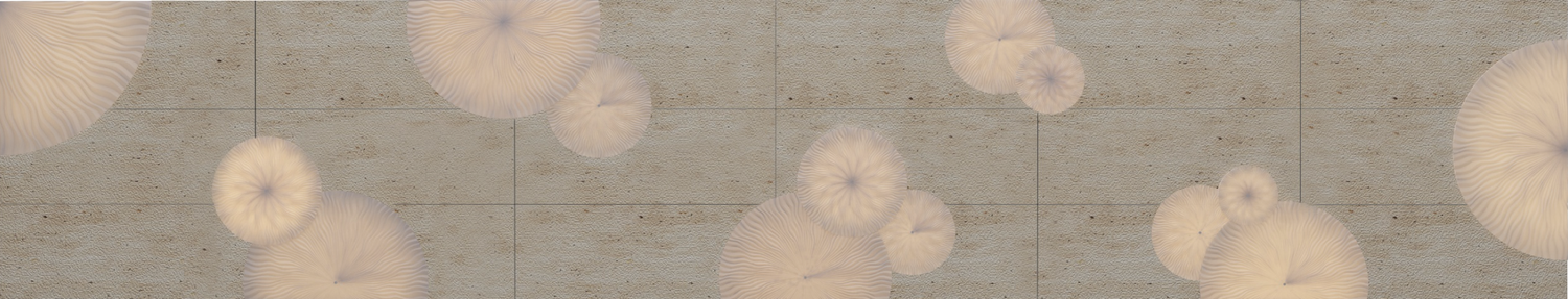 Borrowed Earth Collaborative Project PURITSU, NCD 301- Architecture + Landscape